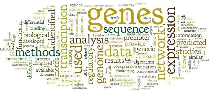 Mendeley wordcloud